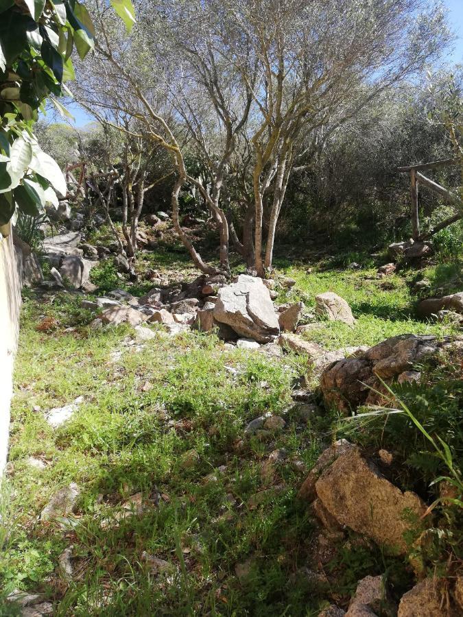 Appartamento Oasiglò La Maddalena  Esterno foto